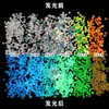 Lantejoulas que Brilham no Escuro Glitter Nail Art DIY Lantejoulas Sonhadoras Fluxo Misto Glitter Multicor Tartaruga Luminescente Noturna