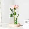 Rosa Artificial Flor Eterna Cobertura de Vidro Dia das Mães Dia dos Namorados Presente de Natal Decoração Ornamentos Fábrica Atacado