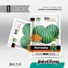 Fabricante Original Atacado Sementes de Melancia Açúcar de Pedra Kirin 8424 Mel Melão Pequeno Preguiçoso Rei Sementes de Pele Preta