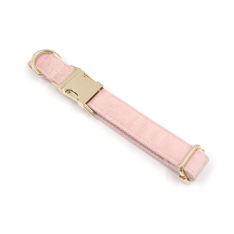 现货批发浅金扣粉绒项圈 亚马逊专供厂家刻字狗狗项圈 dog