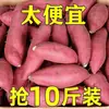 Batatas de color rojo castaño, recién cosechadas, ñame de temporada con un corazón dulce, batatas de color rojo sandía molidas en arena, batatas ahumadas
