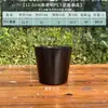 Musgo esfagno transparente para orquídeas maceta especial para Phalaenopsis plástico transpirable maceta para cultivo en caliente maceta para Dendrobium control de raíz Qingshan maceta para ver raíces