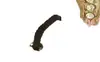 Correa de Hebilla de Cuerda Ultra Corta para Empaque de Brochas de Maquillaje Hebilla de Cuerda de Tarjeta con Anillo de Hebilla de Cuerda de Goma Suministro de Hebilla de Cuerda Elástica