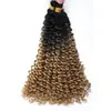 Peluca Waterdeep Degradado 100g 14 Pulgadas Cabello Rizado Ola de Agua Fibra Sintética Crochet para Cabello Artesanía Tejida a Mano Cabello Rizado