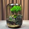 Botella Ecológica Micro-Paisaje Peces Acuario Pequeño Peces y Camarones Paisajismo de Escritorio DIY Regalo Creativo Acuario Ecológico