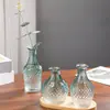 Jarrón de Vidrio Transparente con Relieve Creativo Jarrón para Flores Hidropónicas Decoración de Mesa de Alto Valor Muebles para el Hogar Jarrón