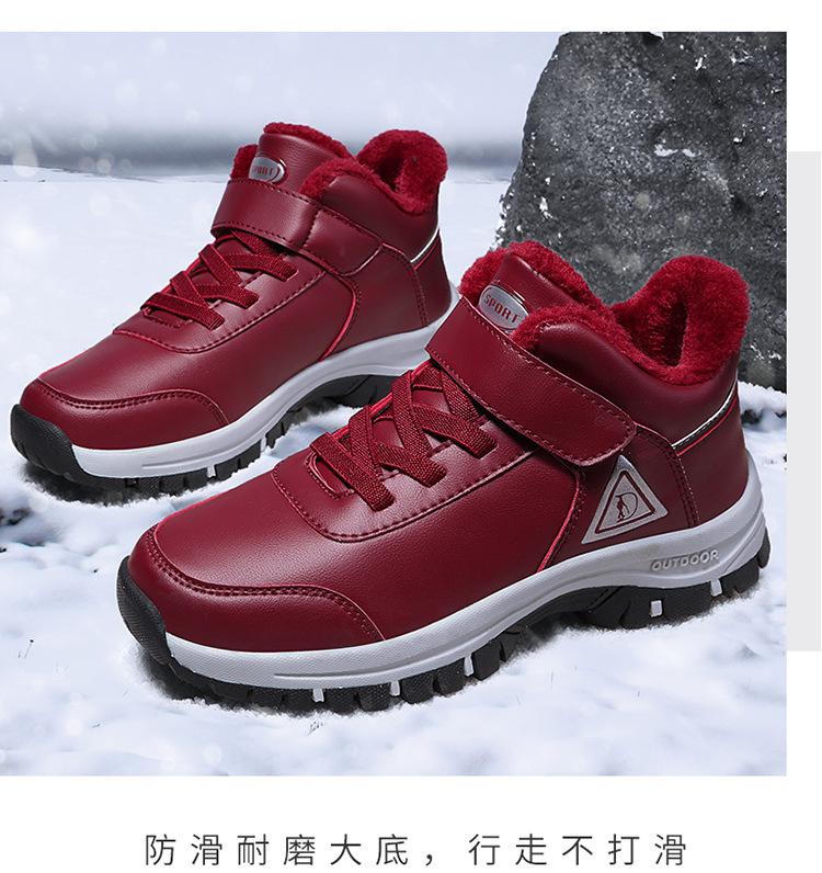 内页2_02.jpg