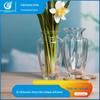Vaso Nórdico Simples Pequeno Fresco Vaso de Flores Geométrico Padrão Vertical Vaso Hidropônico Vaso de Flores Decoração de Casa