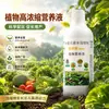 Solución Nutritiva Universal Concentrada Fertilizante para Plantas de Maceta Caseras Fertilizante para Bambú de la Suerte Flor Flor de Bambú Plantas Verdes Rábano Verde Líquido Nutritivo para Plantas