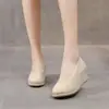 Sapatos Femininos com Salto Anabela 2026, Novo Estilo Primavera e Outono, Boca Rasa Versão Coreana, Sapatos Femininos de Salto Alto para Exportação, Sapatos de Trabalho, Alpargatas com Bico Fino para Mulheres