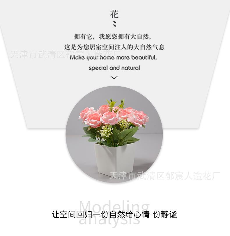 详情_10.jpg