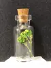 Japonês e Coreano Mais Vendidos Fresco e Doce Garrafa de Vidro de Garrafa de Deriva Trevo de Quatro Folhas Dente-de-Leão Flor Real Flor Seca Colar Modelo de Melhor Amiga