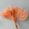 Flores Preservadas Atacado, Arranjos Xiduo Floral para Decoração de Casa, Flores Secas Decorativas de Seda, Presentes para o Dia das Mães