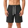 Amazon Pantalones Cortos para Hombre Transfronterizos TK Multicolores Lino Raya Vertical Bermuda con Cordón Transpirables Casuales Deportivos
