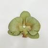 Flor Artificial Flor de Falenopsis Flor de Seda Tocado Pasador Adorno Hecho a Mano Serigrafía Flor Falsa Cabeza Caja de Dulces de Boda Cabeza de Flor