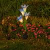 Lámpara de Suelo de Flor de Lirio Solar 4 Cabezas Led Colorido Flor Artificial Linterna Decorativa Balcón Césped Suelo Lámpara de Paisaje