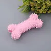 Brinquedos para Cachorro Resistentes à Mordida Osso Oco Brinquedos Tpr Moagem e Limpeza de Dentes Mastigáveis Espinhosos Brinquedos para Animais de Estimação Suprimentos Atacado