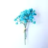 Flores Secas Transfronterizas, Gypsophila, Flores de Cristal, Mini Ramos, Ramos de Punta de Dedo Mezclados y Combinados, Cajas de Regalo, Decoraciones para Tarjetas de Felicitación