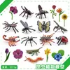 Simulación Transfronteriza Modelo de Araña Real Unicornio Insecto Juguetes para Niños Mariposa Abeja Adornos de Animales