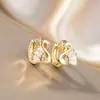 Joyería de moda europea y americana súper vendida sensación llena de circonita aretes de cisne clásico súper brillantes accesorios de aretes de temperamento de moda Joker