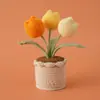 2026 Venda Quente Planta em Vaso de Tulipa de Tricô à Mão com 3 Cabeças Dia das Mães Dia dos Professores Presente Eterno