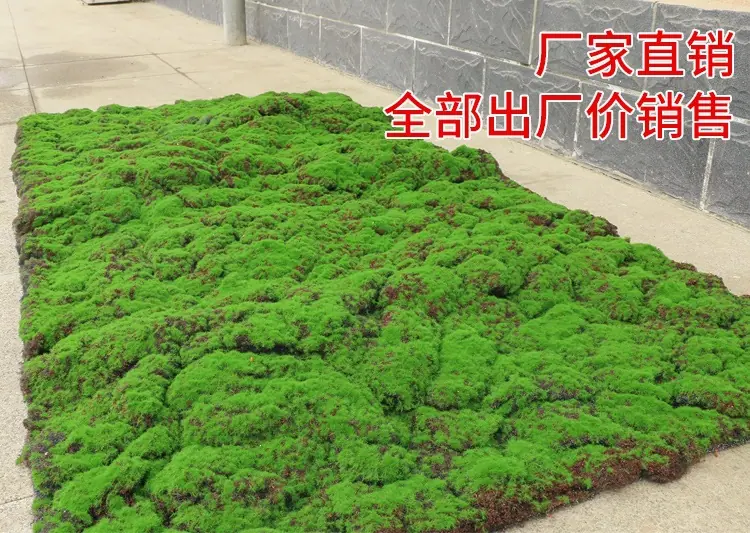 未标题-1_01
