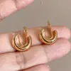 Clips de Orelha Florais Frescos e Delicados para Mulheres, Suaves e Elegantes, Clips de Orelha de Bobina de Mosquito Sem Furo, Luxo Leve com um Toque Sofisticado, Brincos de Flor de Íris