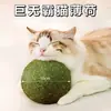 Bola de Catnip, Brinquedo Extra Grande para Gatos, Gadget de Autoentretenimento e Alívio do Tédio, Bola de Erva de Gato para Afiar os Dentes, Vara de Brincar para Gatos, Suprimentos para Gatos, Matatabi