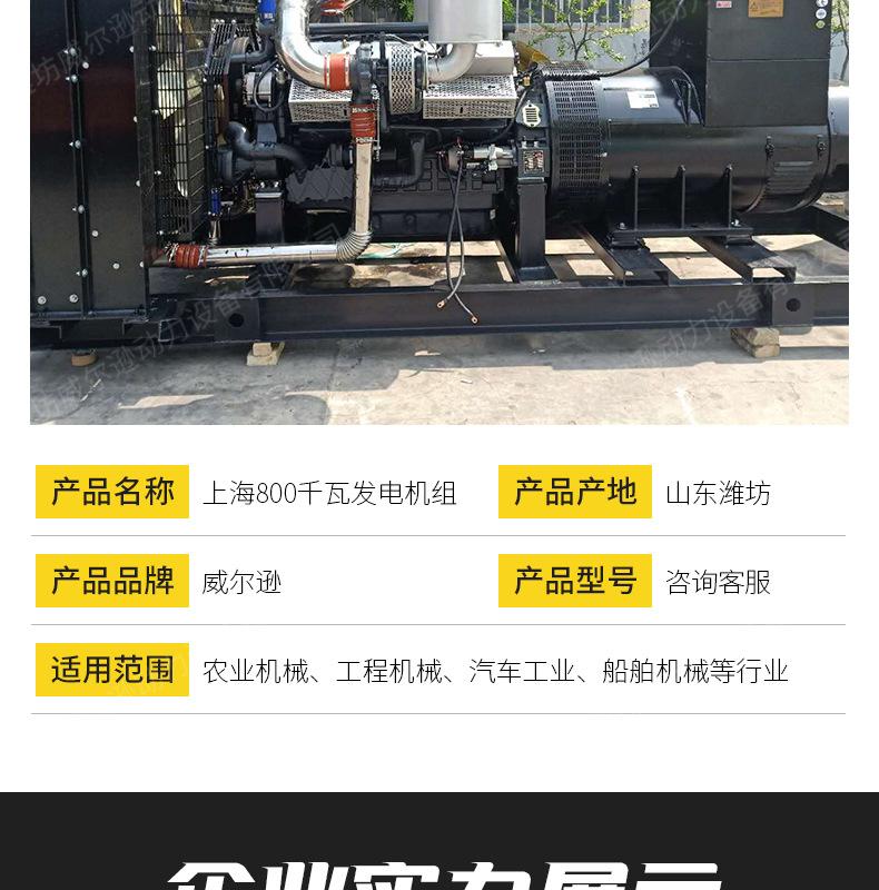 上海800千瓦发电机组_11.jpg