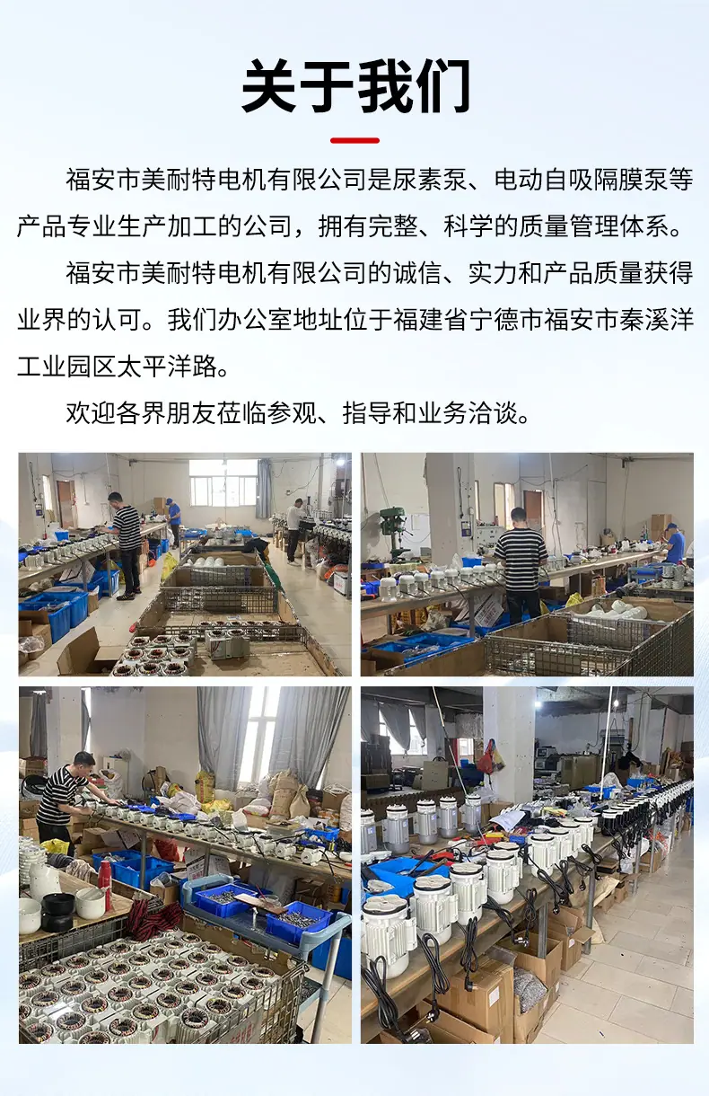 福安市美耐特电机有限公司-电动自吸隔膜泵-详情_11(13)