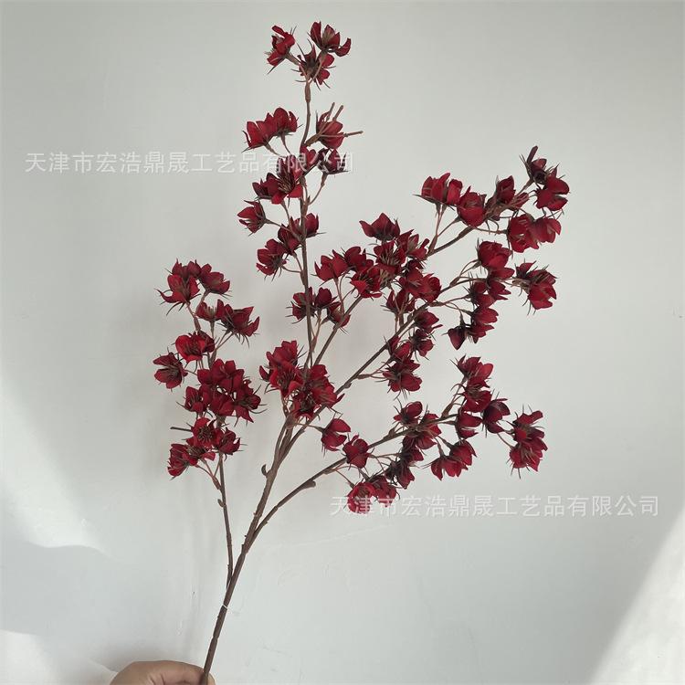 微信图片_202209081727134