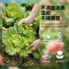 Solución Nutritiva de Fertilizante Especial para Verduras de Ensalada, Suelo Nutritivo, Fertilizante para Frutas y Verduras, Líquido Resucitador de Plantas, Fertilizante Compuesto Hidropónico