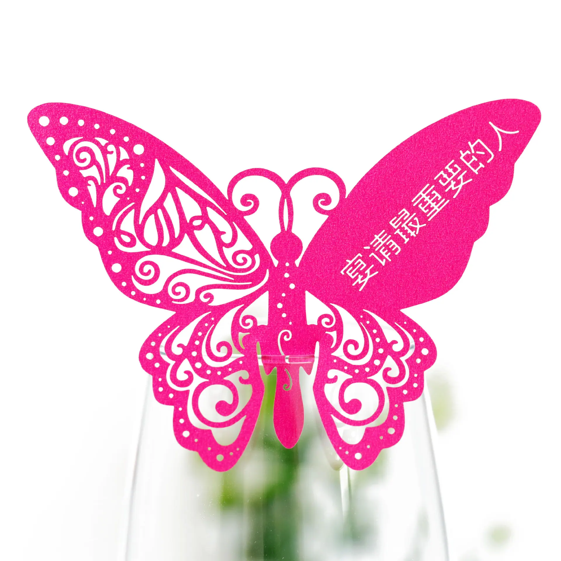 9R3A2908 珠光玫红