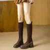 Botas de alta elasticidad para otoño e invierno, nuevas botas altas de gamuza estilo francés con suela gruesa y tacones altos, tacones gruesos y puntera cuadrada, botas largas hasta la rodilla