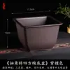 Vaso Quadrado Criativo Planta Suculenta Árvore da Fortuna Bonsai Jardinagem Especial Vaso de Flor de Resina Vaso de Plástico Simples