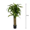 Maceta de Suelo Simulada de Palo de Rosa Brasileño Planta de Interior Sala de Estar Planta Verde Grande Árbol Falso Adorno Decorativo de Alta Gama Múltiples Especificaciones
