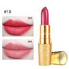 Maquillaje transfronterizo VERONNI labial tubo dorado labial hidratante mate aterciopelado labial de bala