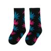 C590 Calcetines Infantiles al por Mayor Estilo Verano Lindos Calcetines de Hojas Coloridos Calcetines de Algodón Artísticos para Niños y Niñas