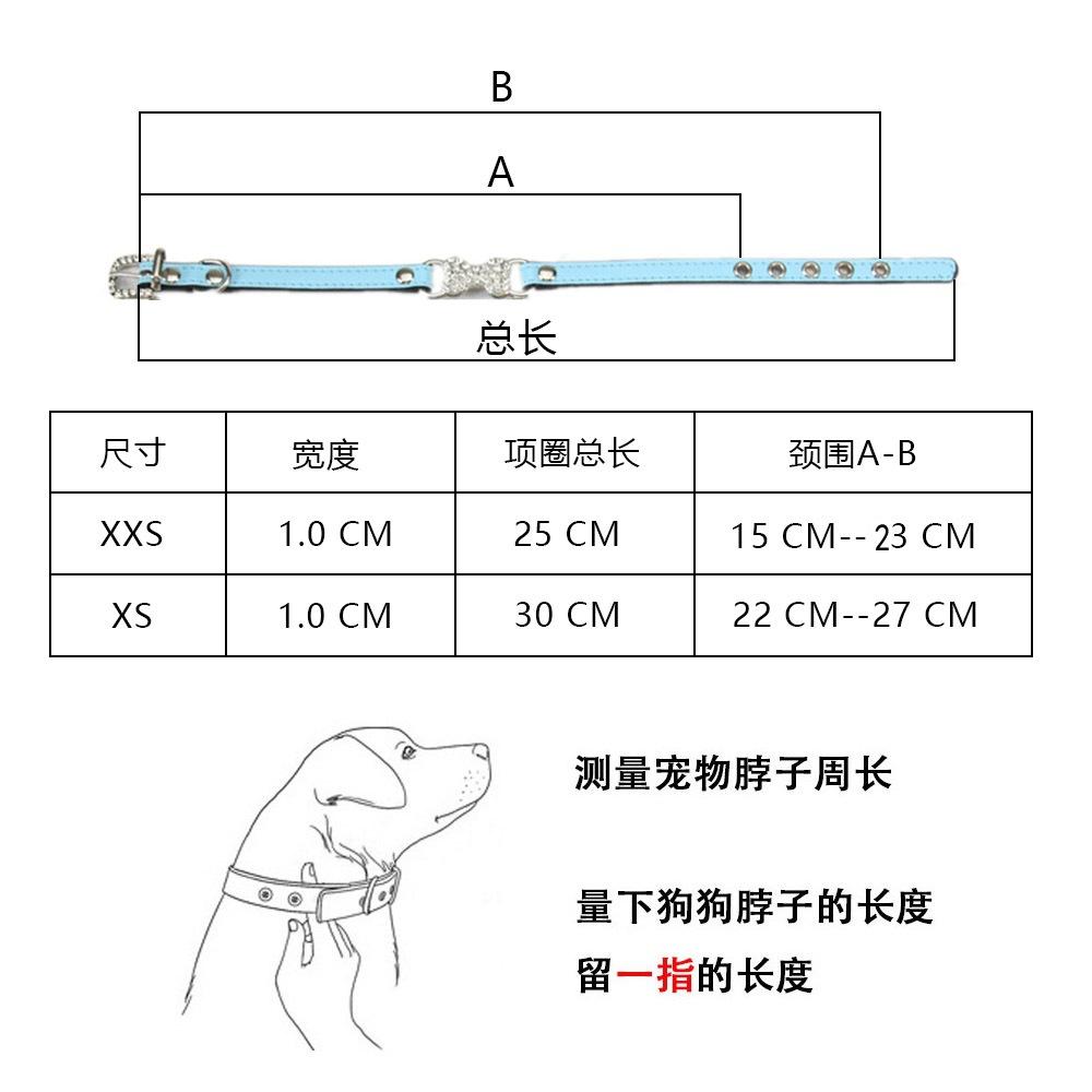 狗链中文_07.jpg