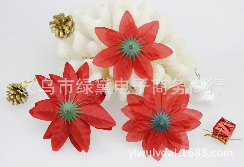 圣诞花