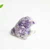 Gravel de Cristal Natural Transfronterizo Pegamento Goteo Ojo Pequeño Cocodrilo Oficina Hogar Sala de Estar Escritorio Decoración de Joyería Adornos