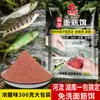 Paquete Grande de Cebo de Gluten para Pescar Mojarras, Pargos y Otros Peces Pequeños