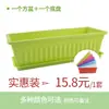 Maceta para Suculentas 10cm Maceta de Plástico Maceta para Plántulas Bandeja de Plantación de Colores Set de Soporte Oferta Especial