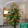 Árbol Falso de Kumquat de Simulación Fruta Roja Decoración para el Hogar Sala de Estar Planta en Maceta de Fruta Falsa Planta Verde Bonsái Perezoso Flor