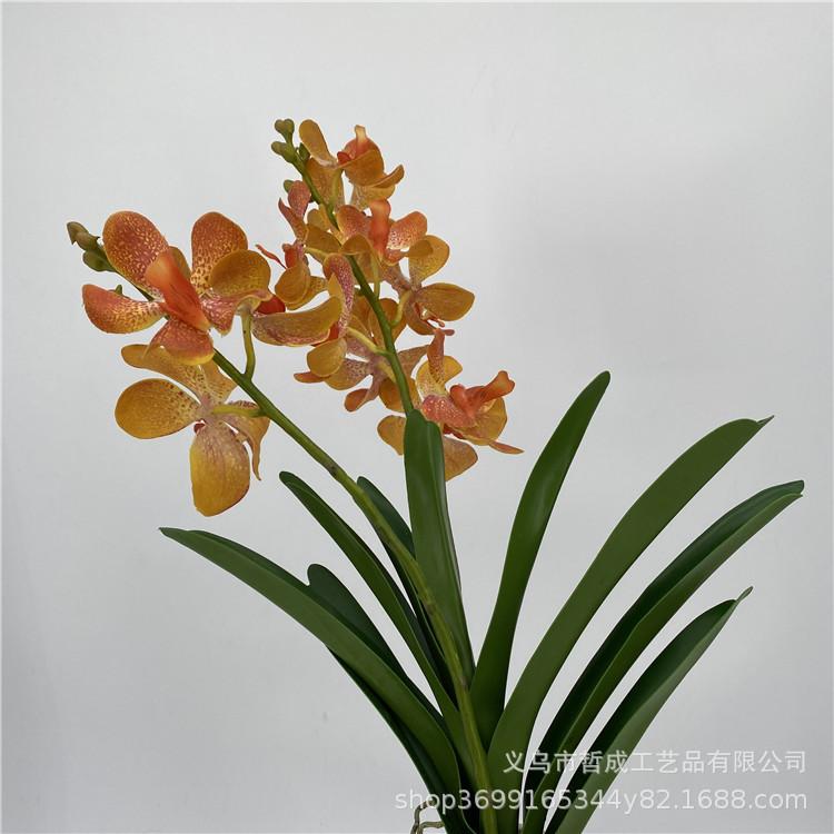 微信图片_20201031215719.jpg