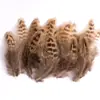 80 Tipos de Penas Naturais de Faisão, Penas Reais, Decorações Nativas Americanas, Acessórios DIY, Acessórios de Cabelo, Peças para Brinquedo de Vara para Gato