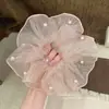 Goma para el pelo de encaje francés, un accesorio para el cabello de alta gama para mujer, perfecto para crear un moño o una cola de caballo elegante. Es un coletero delicado y elegante, disponible en tamaño grande
