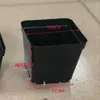 Maceta Cuadrada Negra para Plántulas Maceta Florero Maceta Pequeña Suculenta Maceta Cuadrada Negra Roja Inserto Cuadrado para Plántulas Siembra