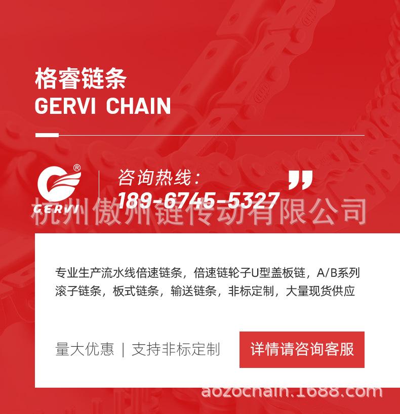 详情08BS倍速链条，尼龙钢制