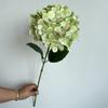 Ramo único 72 peças de filme 3D hortênsia casamento auditório teto estrada chumbo alto arranjo de flores floral decoração suave hortênsia